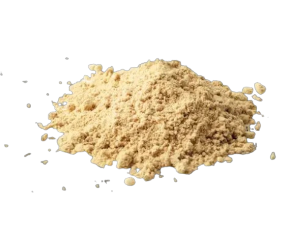 Dry Ginger Powder